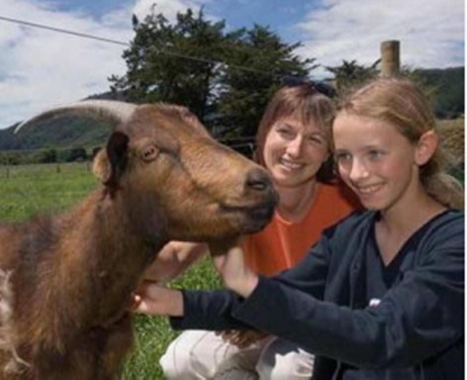 Smiths Farm Holiday Park Linkwater Luaran gambar